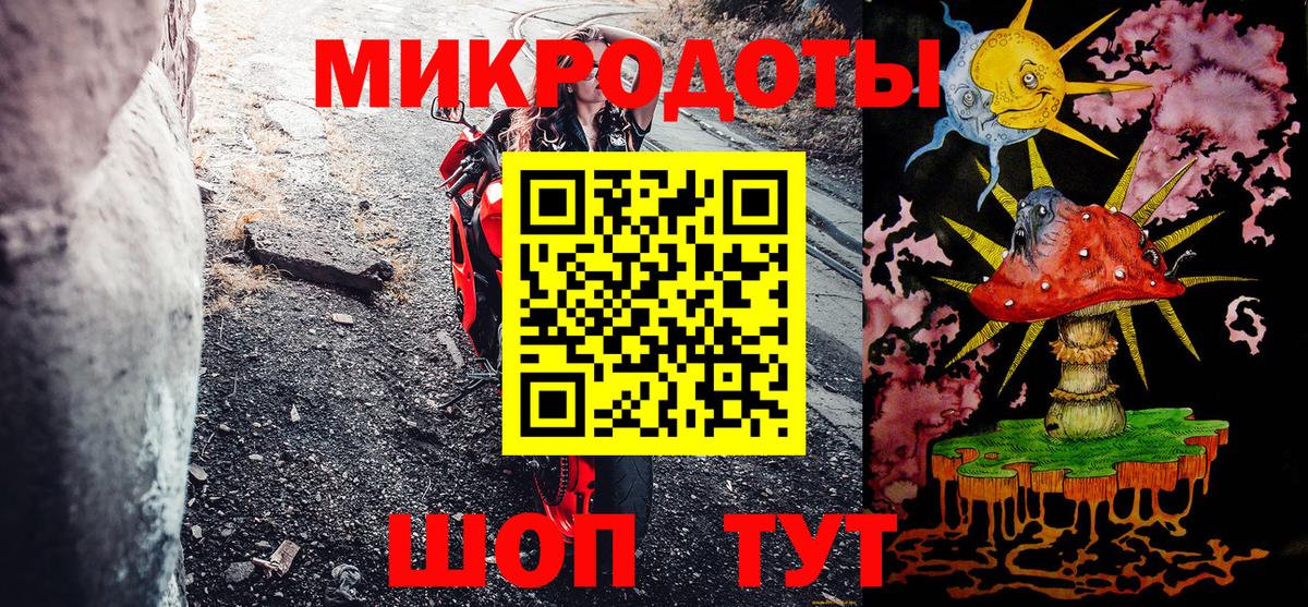 Псилоцибиновые грибы Psilocybine cubensis Красноярск